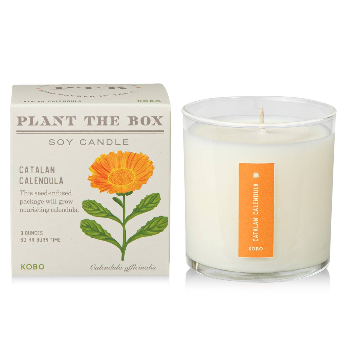 Catalan Calendula - Plant the Box Candle - 9oz.