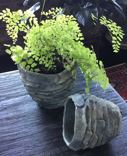 Palm Leaf Planter