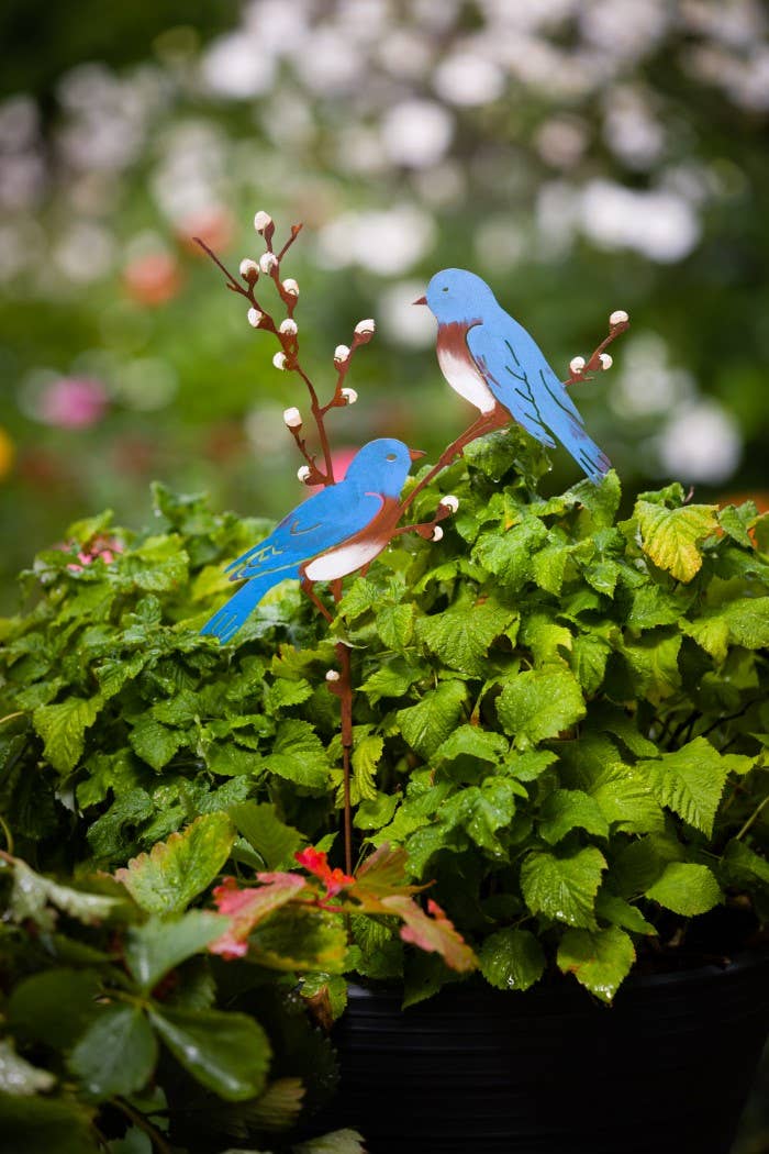 Bluebirds on Pussy Willow Pick -Painted