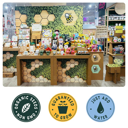 Mini Wildflower Seed Box – Flowers For You Gift Set (4)