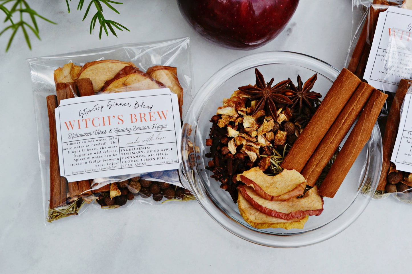 Simmer Stovetop Spices- Witch's Brew