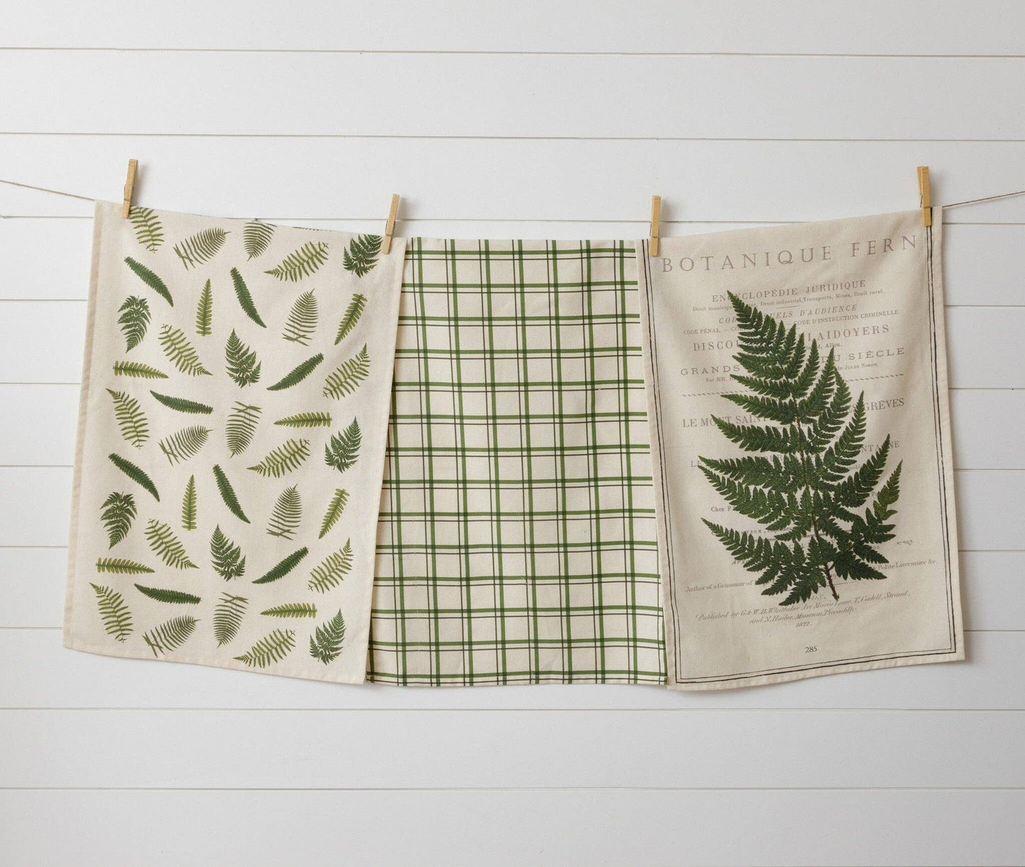 Tea Towels - Ferns