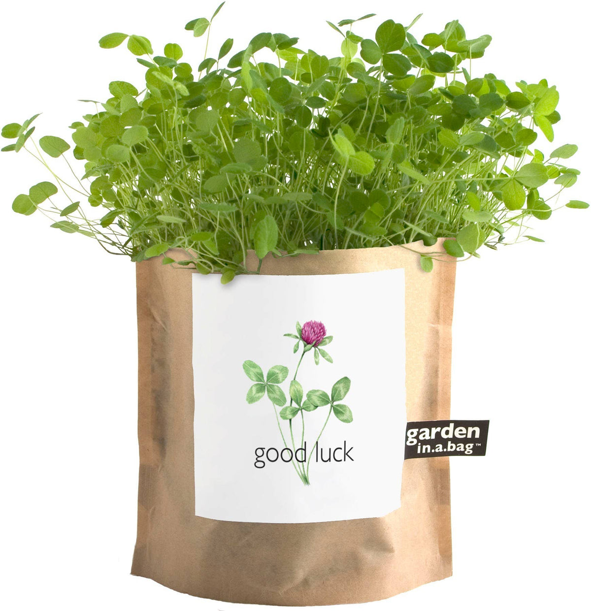Garden Sprinkles - Good Luck Clover