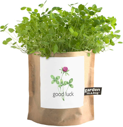 Garden in a Bag Good Luck Clover | Wedding & Graduation