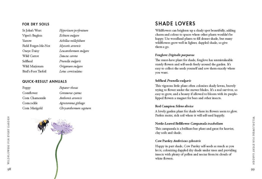 Planting Wildflowers