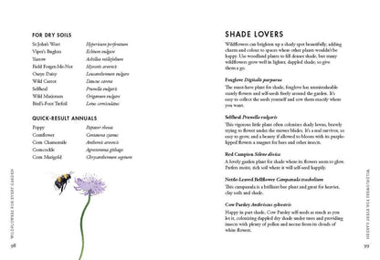 Planting Wildflowers
