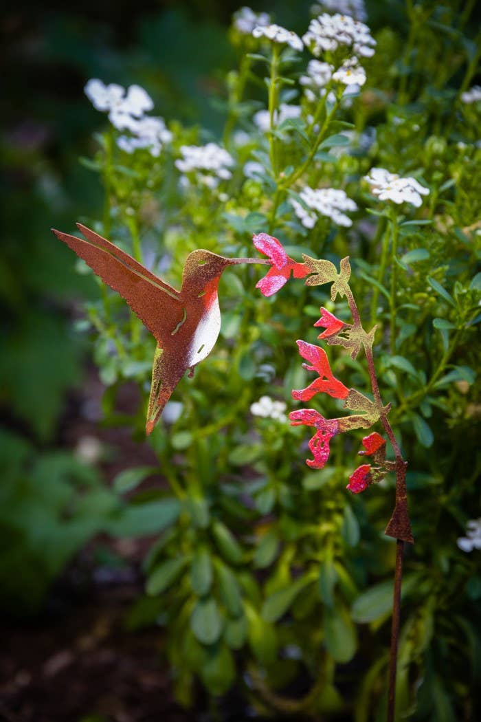 Hummingbird on Salvia Pick -Painted