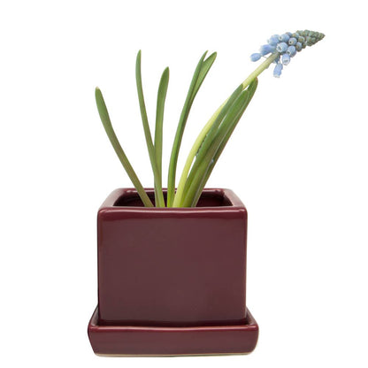 Cube Pot With Saucer And Drainage Hole 60 Plus Colors