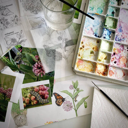 Scatter Garden | Monarch Butterfly Milkweed | Pollinators