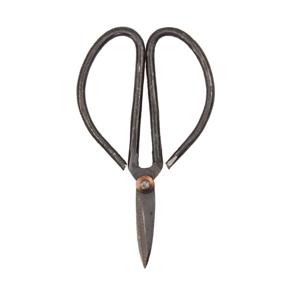 Edward Plant Scissors/ Gardening 
Plant Accessories