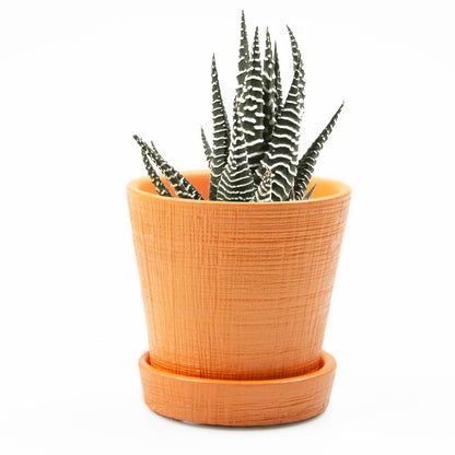 Mick Planter Pots With Drainage Holes Bulk SALE SALE
