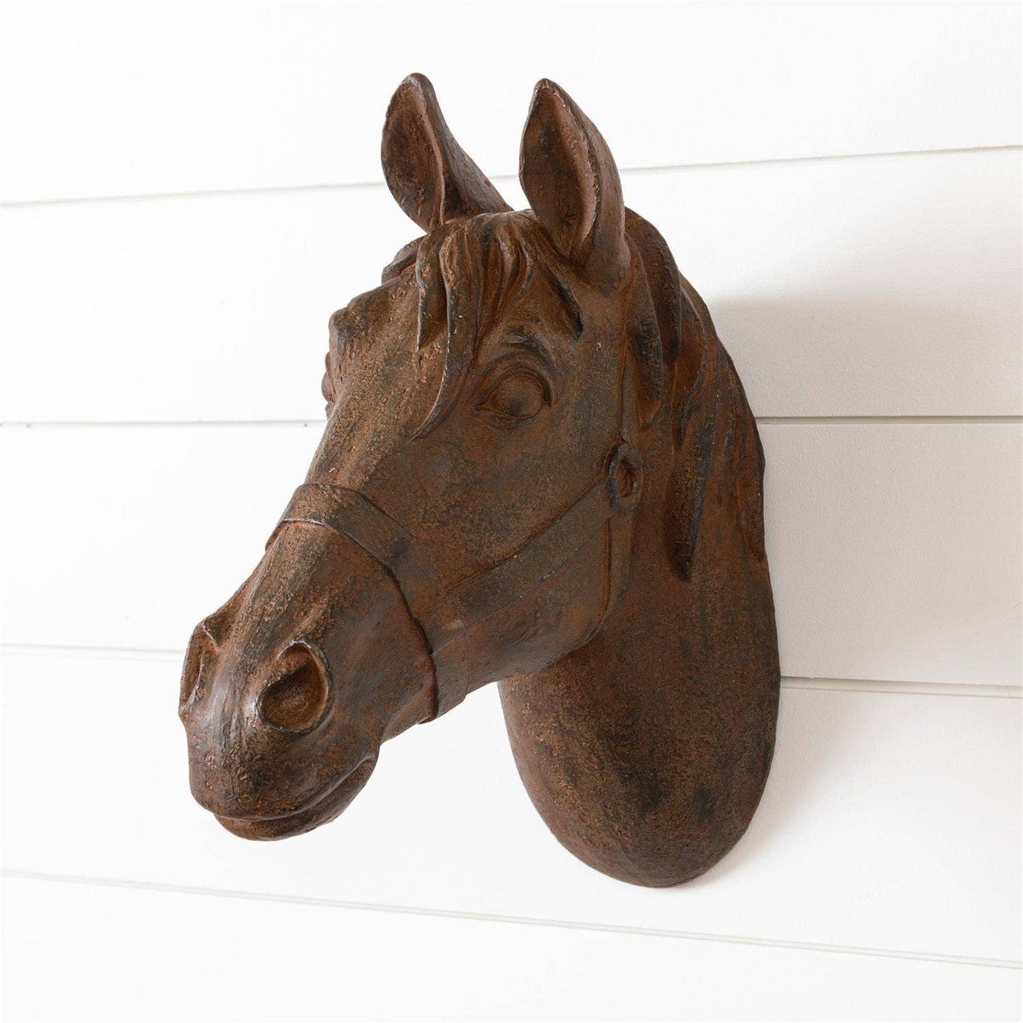 Horse Head Wall Mount