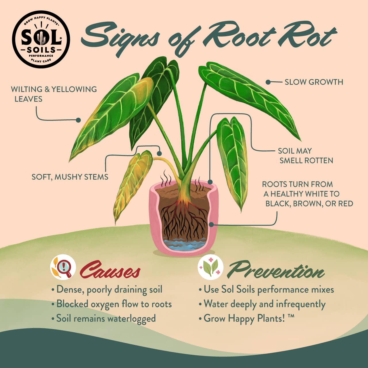 Soil (2Qt) Houseplant Chunky Mix (Aroid/Tropical Soilless)