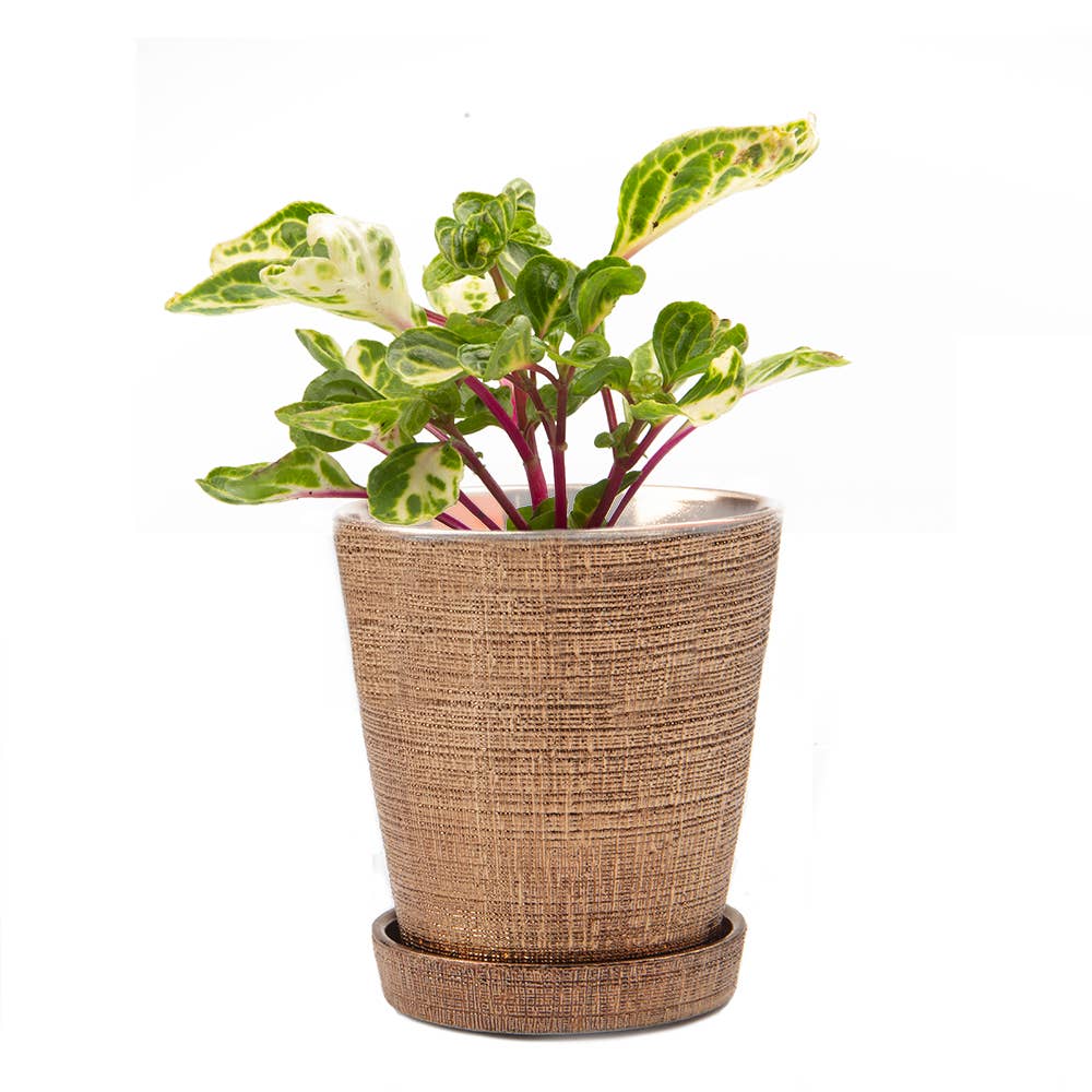 Mick Planter Pots With Drainage Holes Bulk SALE SALE