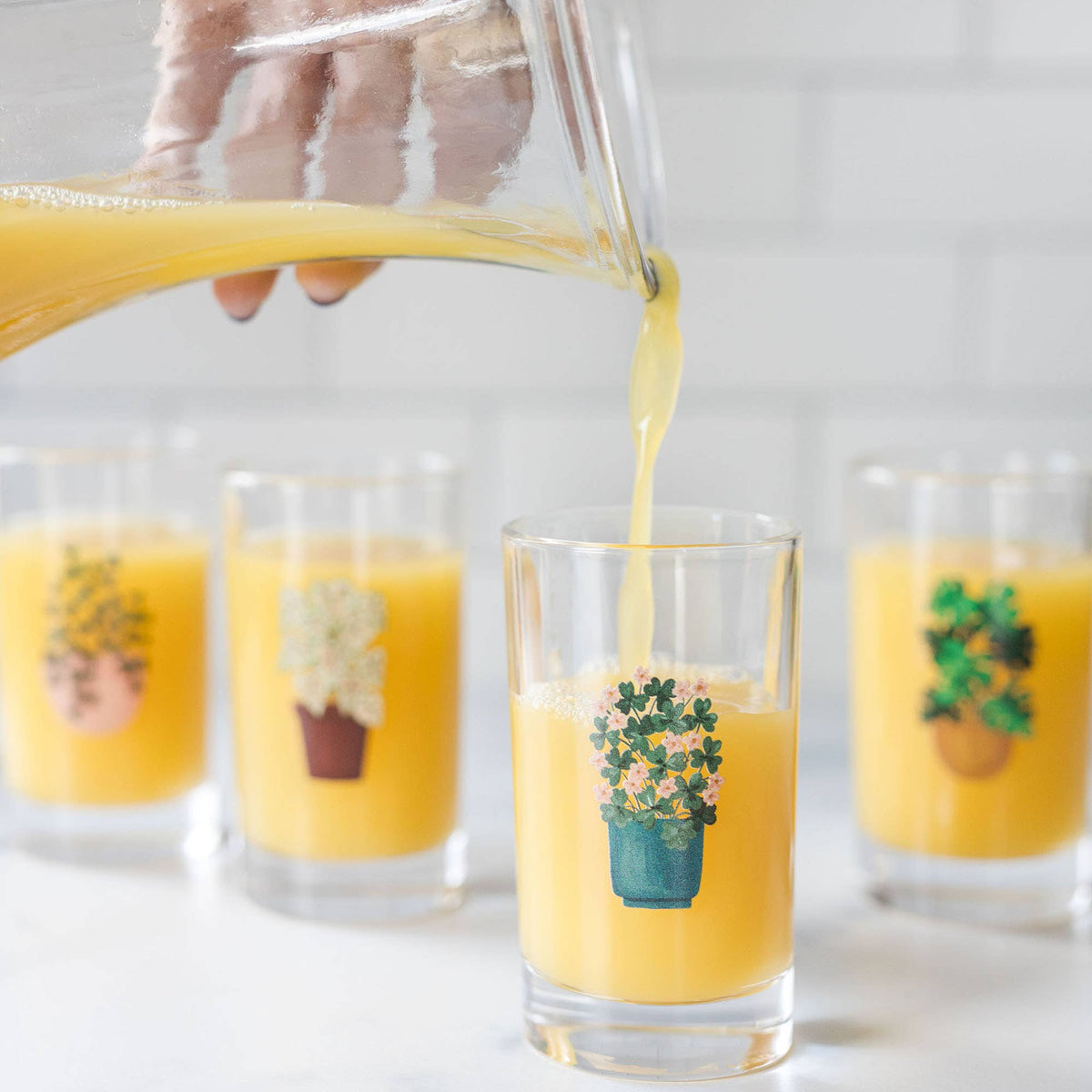 Houseplants 6oz Mini Juice Glass Set