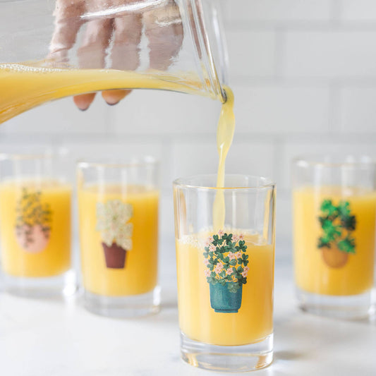 Houseplants 6oz Mini Juice Glass Set