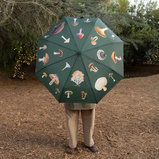 Mushrooms Umbrella