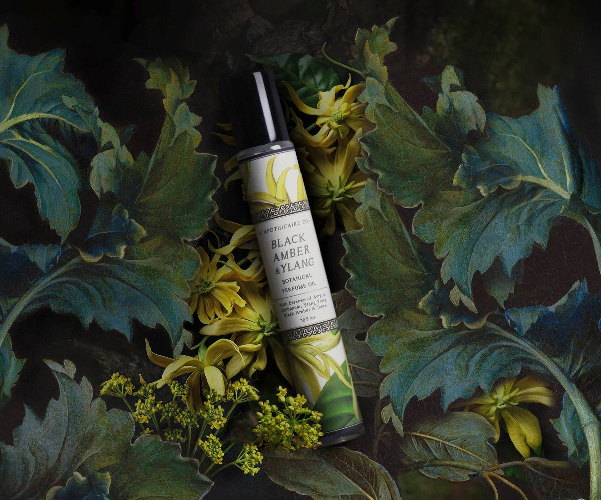 BOTANICA | Black Amber + Ylang | Perfume Oil