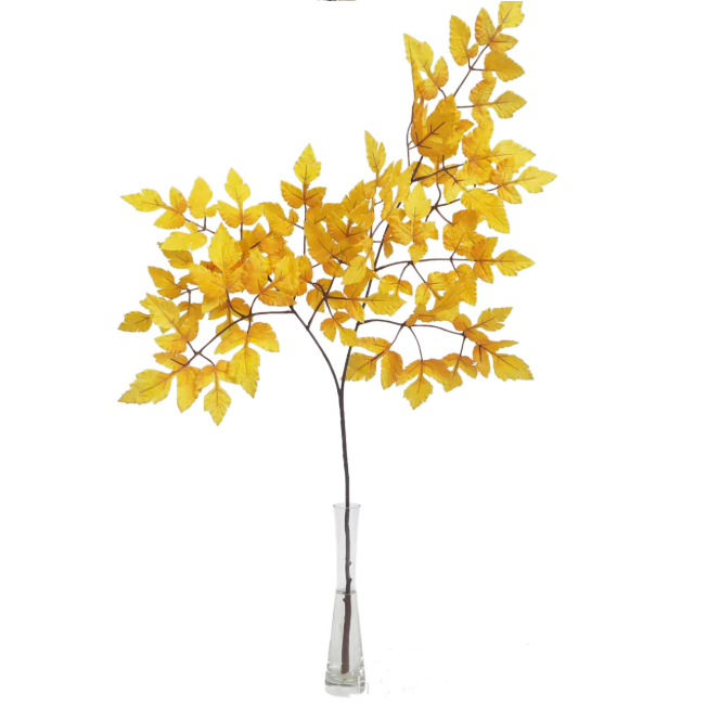 Plum Fake Cimicifuga Ramosa Leaves Branches