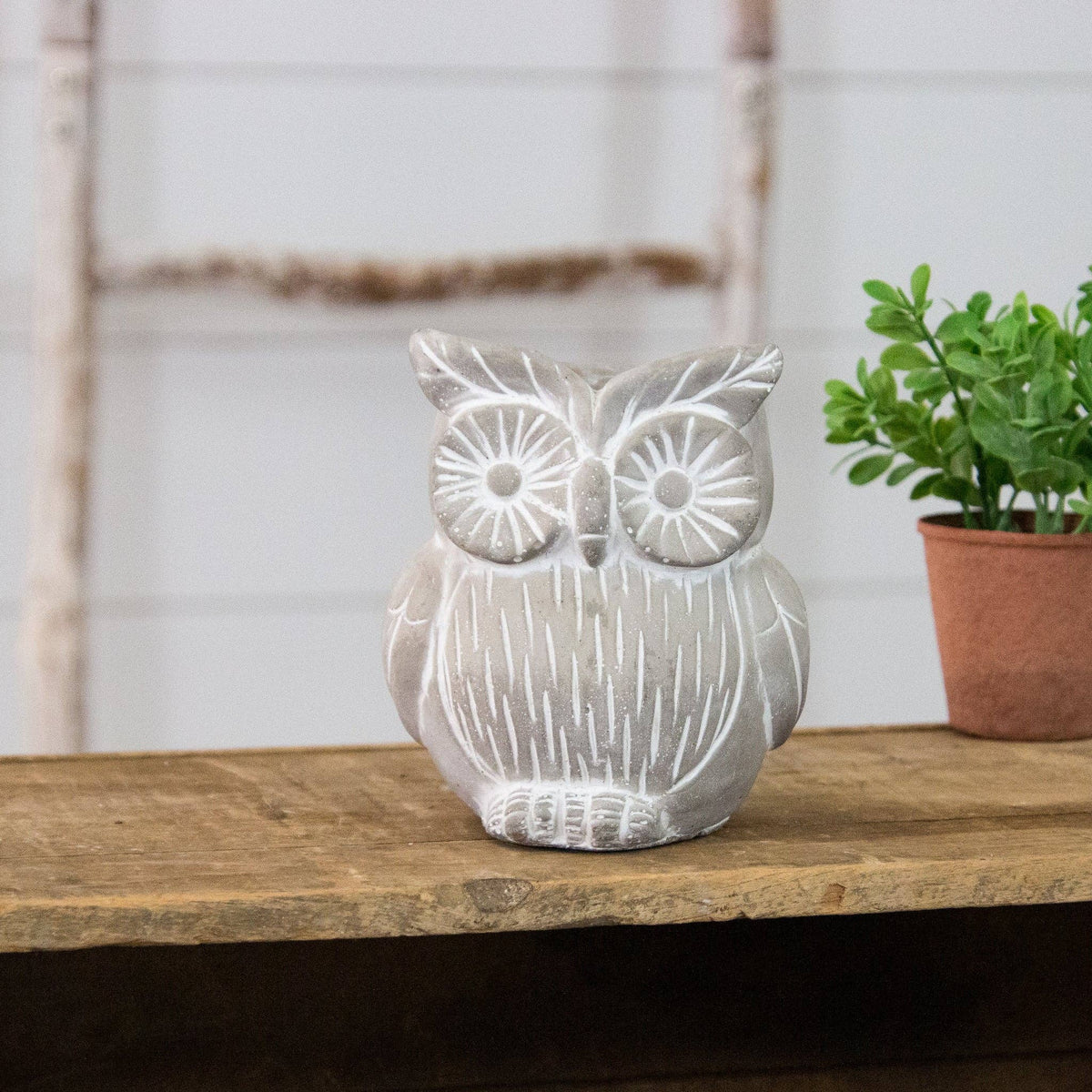 Cement Owl Planter