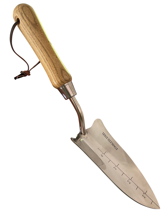 Garden Guru Transplanter Trowel Shovel with FSC Wood Handle
