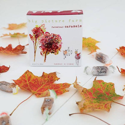 Fall Foliage Caramel Box | Vermont | 8 Flavors 