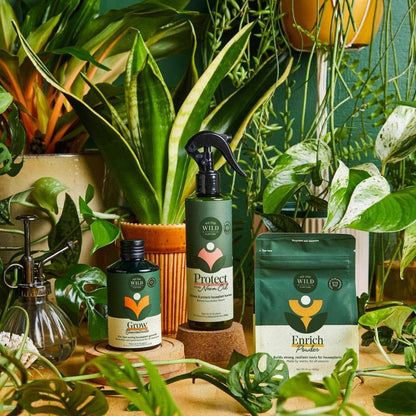 Houseplant Care Essentials Organic Starter Kit