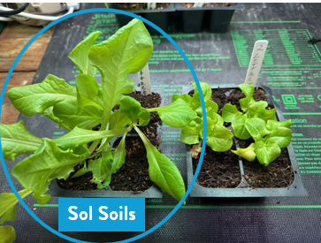 Soil (1Gal) Seedling & Propagation Mix