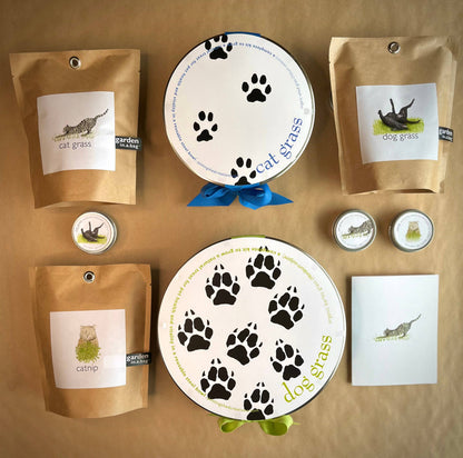 Garden Sprinkles Cat Grass | Organic Fall & Holiday Treat