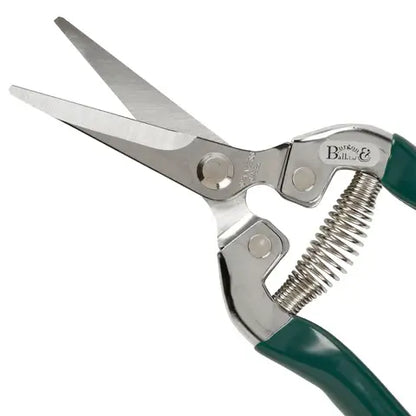 RHS Fruit & Flower Snip