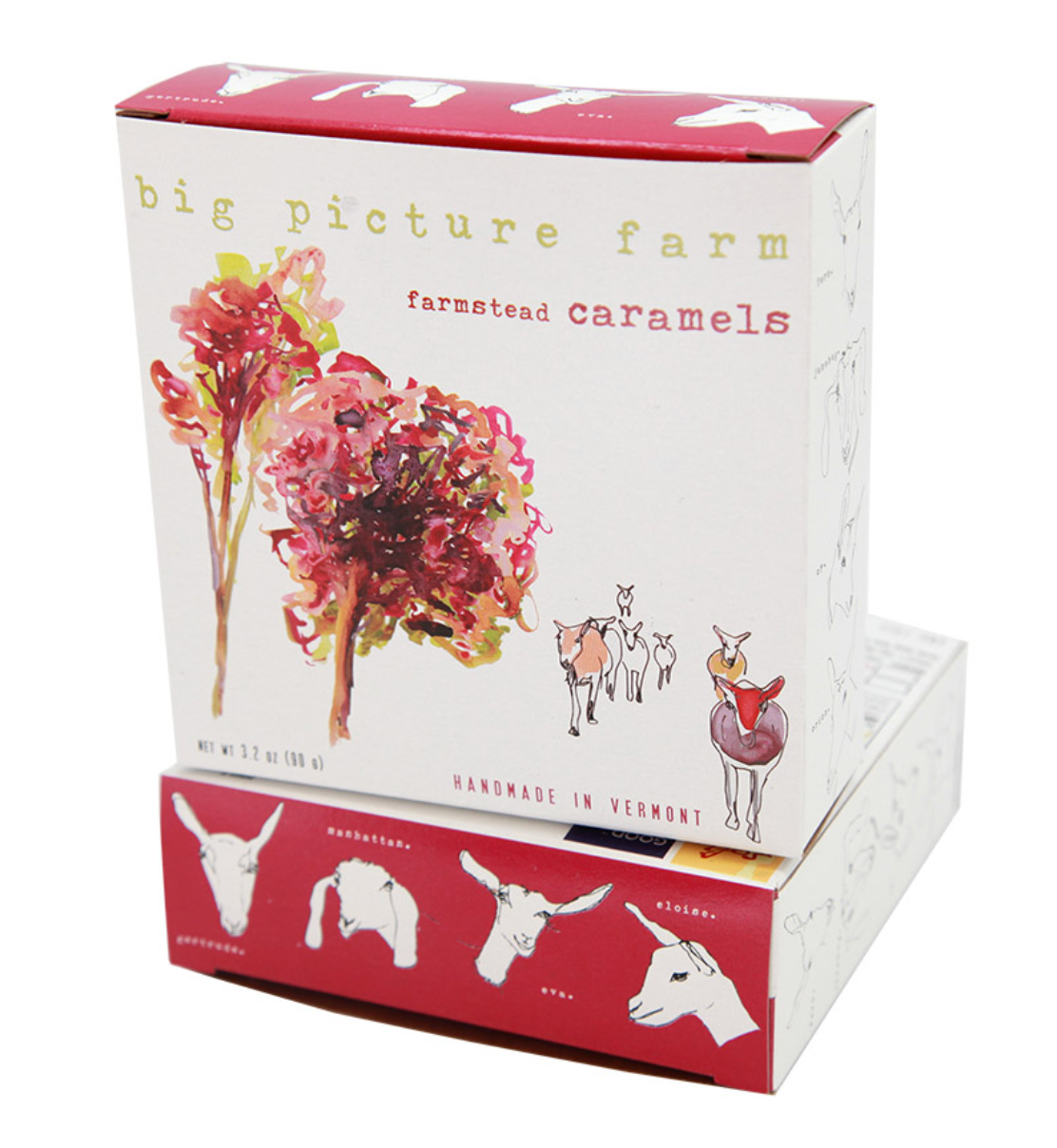 Fall Foliage Caramel Box | Vermont | 8 Flavors 