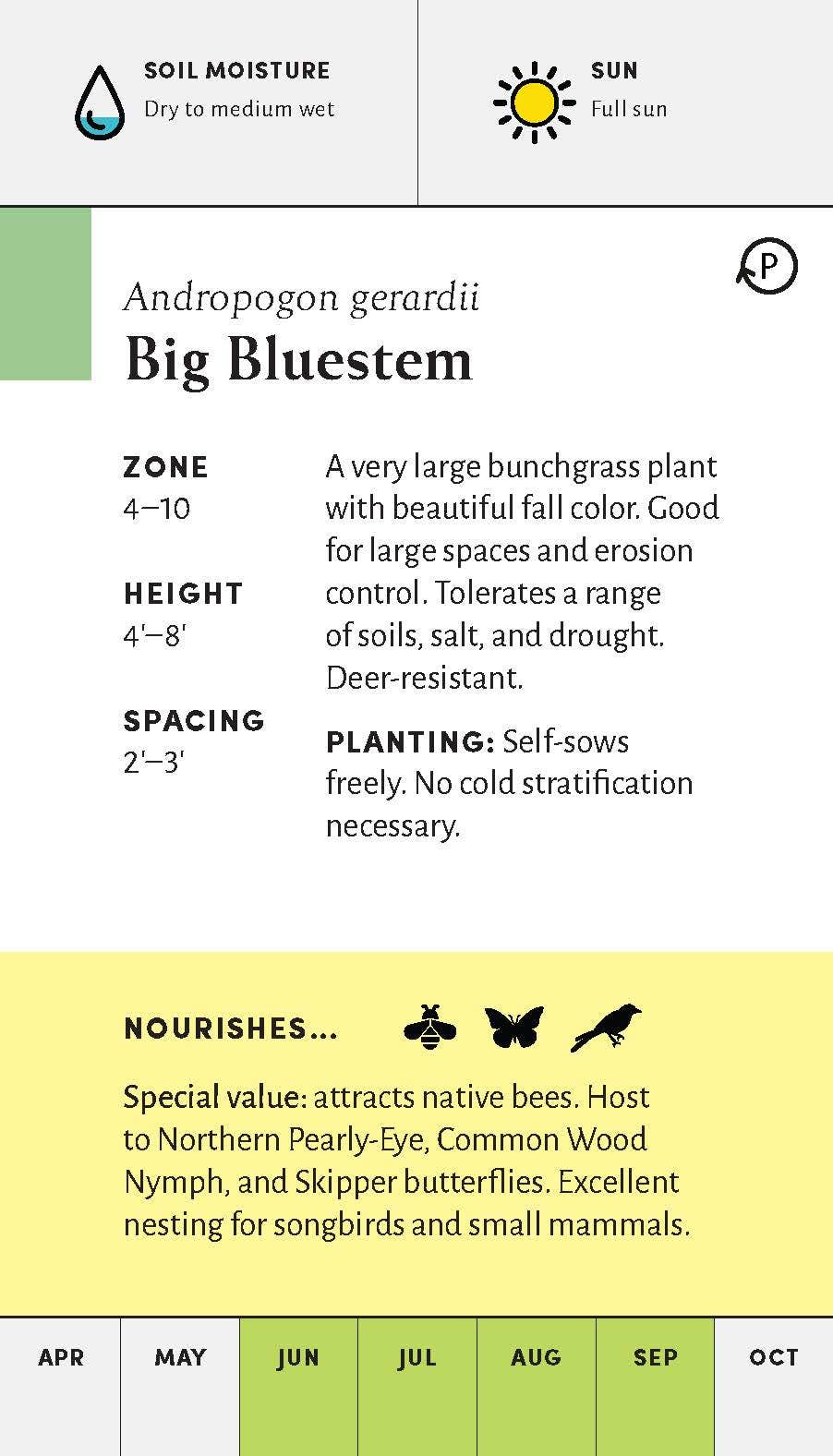 Pollinator Garden Planning Deck