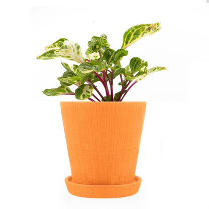 Mick Planter Pots With Drainage Holes Bulk SALE SALE