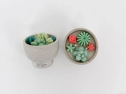 Christmas Succulent Candle - Holiday Nordic Pine & Wassail