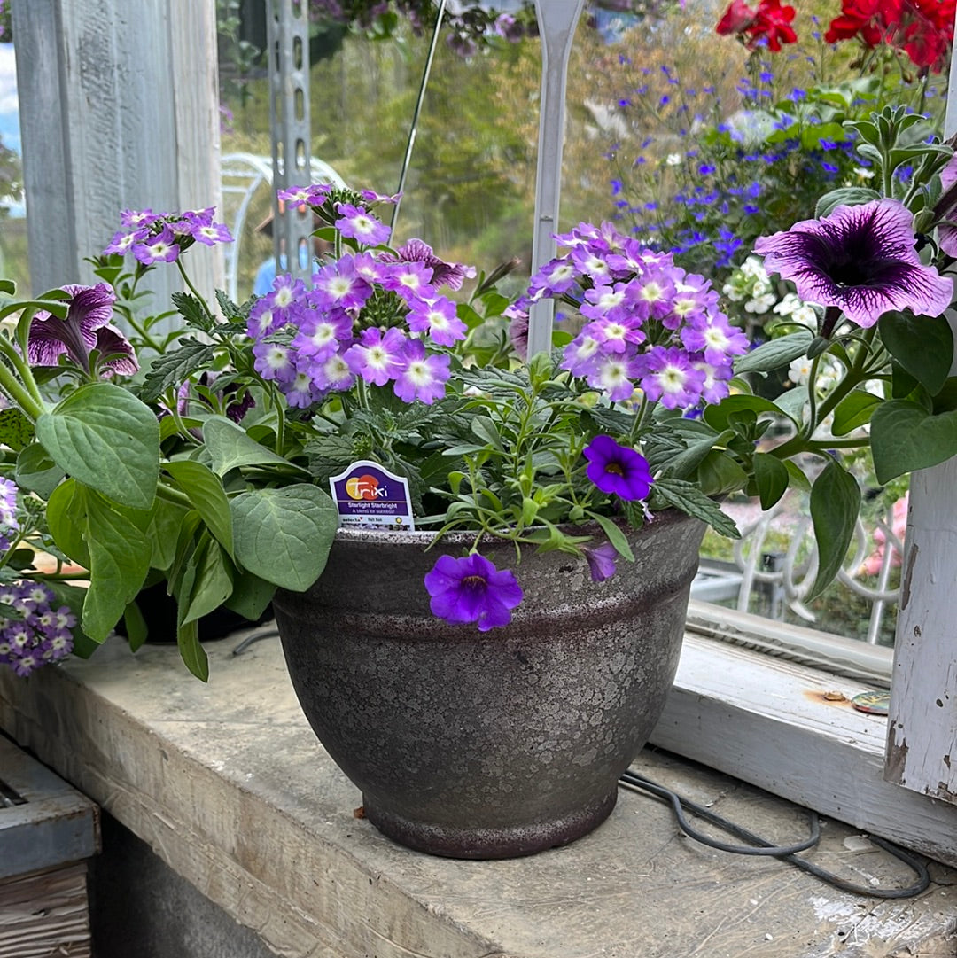 Combo Pots Assorted