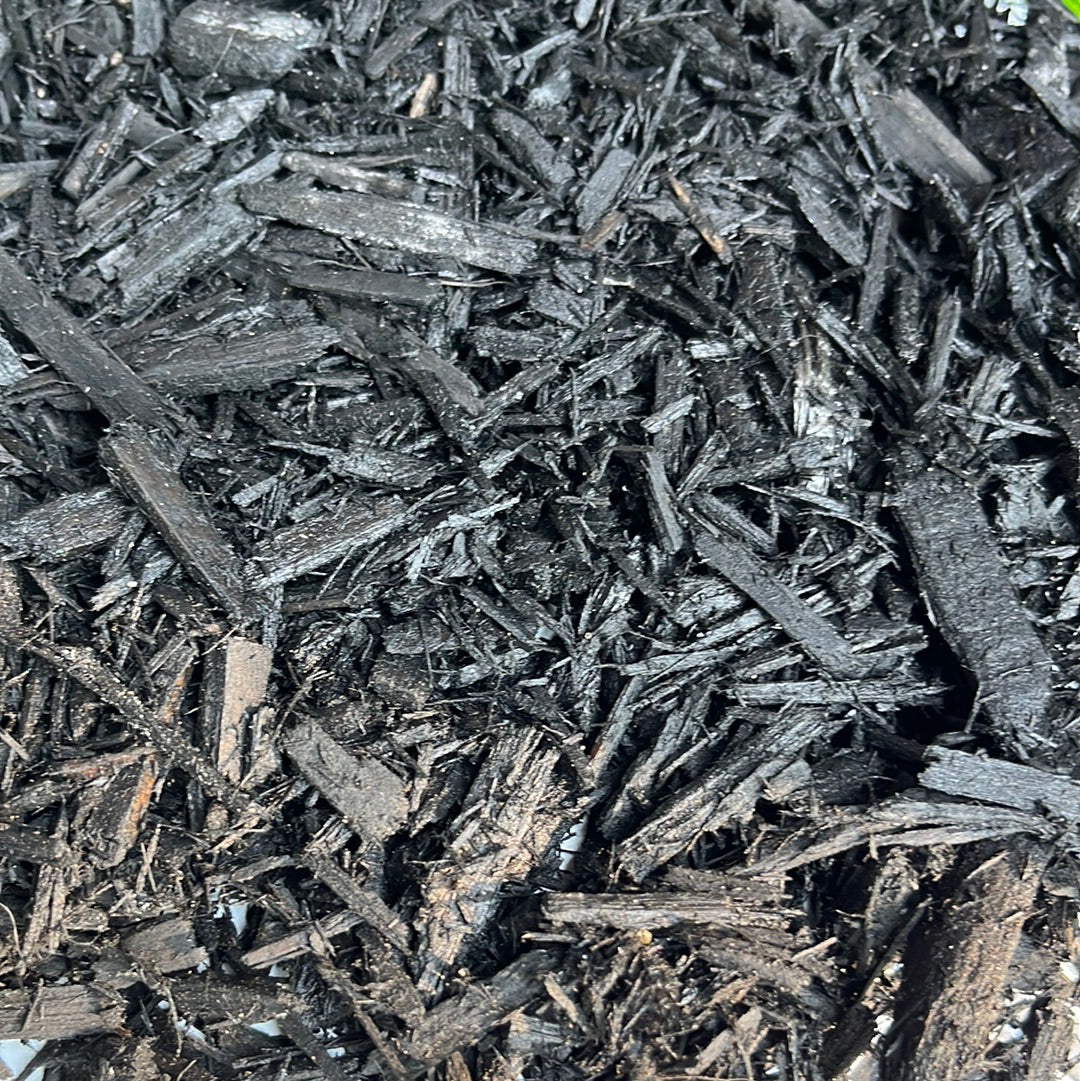 Midnight Black Mulch