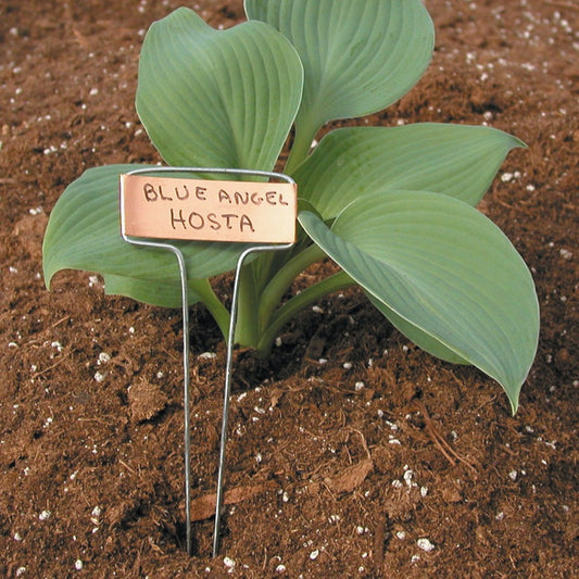 Luster Leaf Impressions Copper Plant Label 10/10"