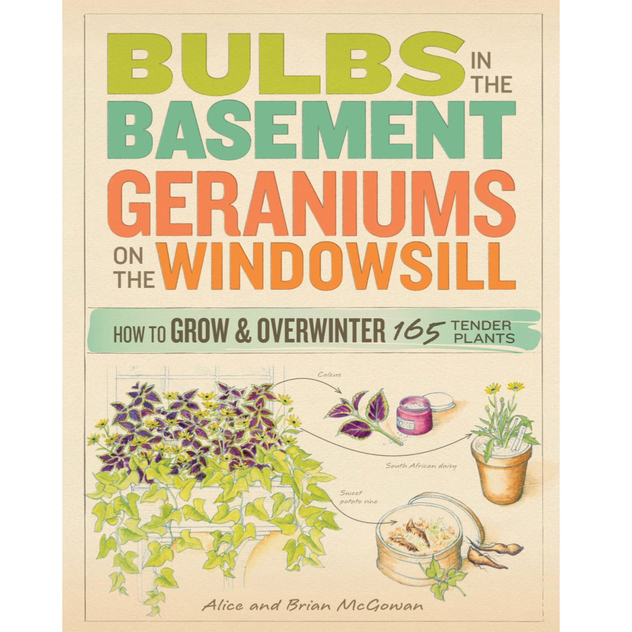 Bulbs In The Basement Geraniums On The Windowsill - Alice & Brian McGowan