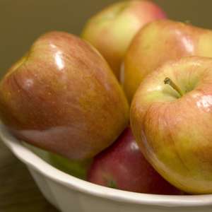 Bare Root- Honeycrisp Apple | Malus sp. 'Honeycrisp'