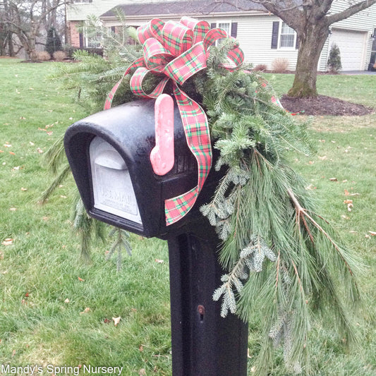 Mixed Greens Mailbox Swag