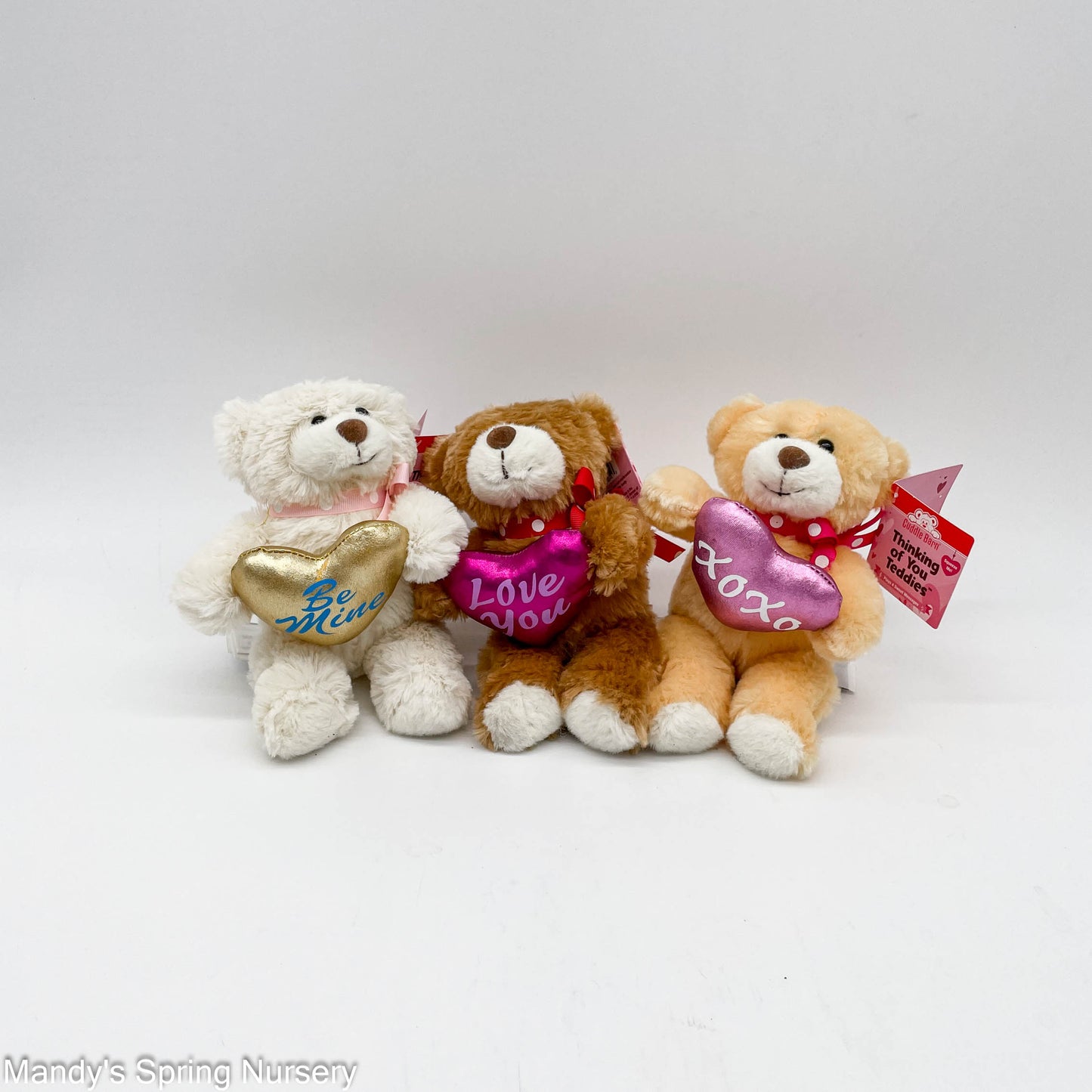 5" Teddy Squeezer (Assorted Colors)