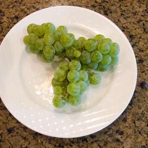 Kay Gray Grape | Vitis lubrusca hybrid