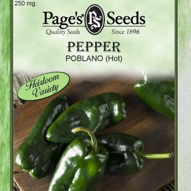 Pepper - Poblano ( Hot)