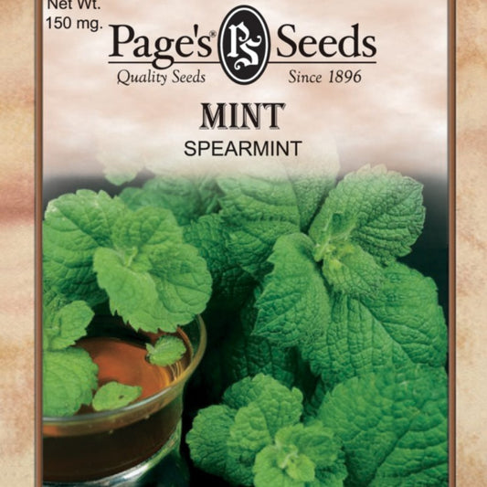 Mint/Spearmint Herb