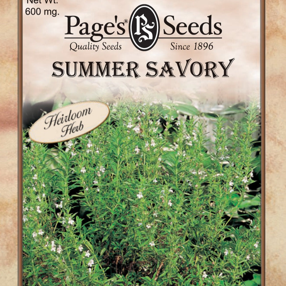 Summer Savory, Herb