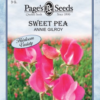 Sweet Pea, Annie Gilroy
