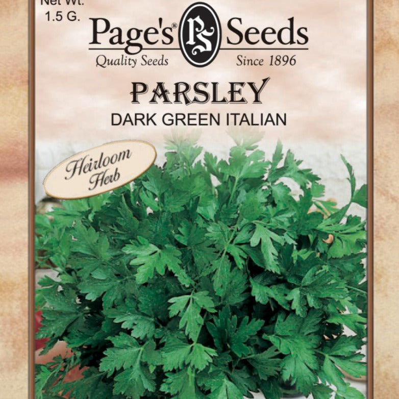 Parsley, Dark Green Italian