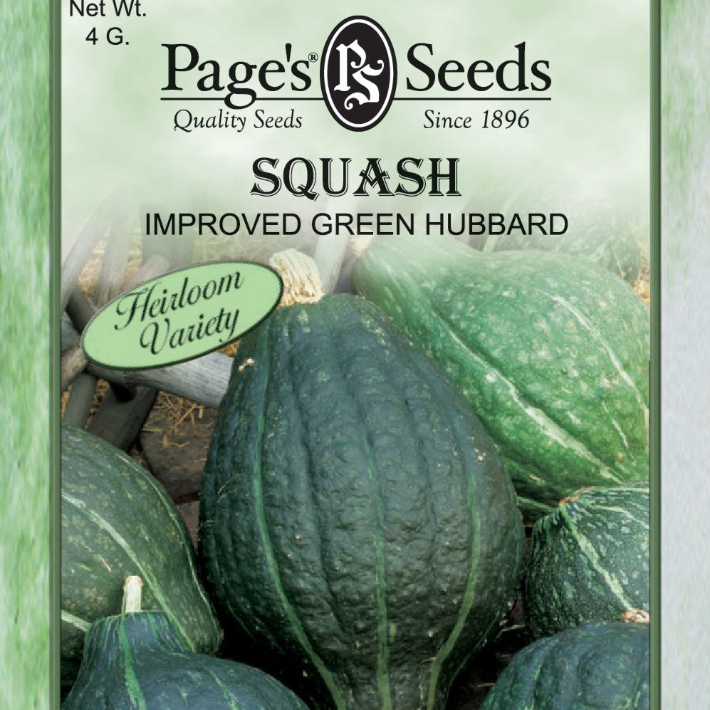 Squash, Green Hubbard Improved