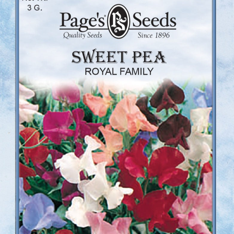 Sweet Pea, Royal Family