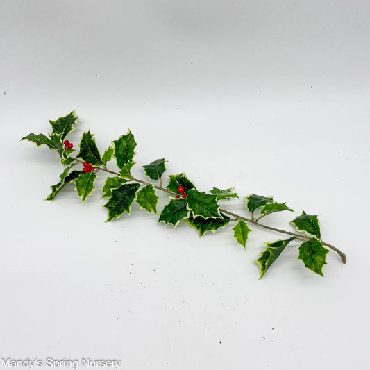 Faux Holly Sprig with Berries